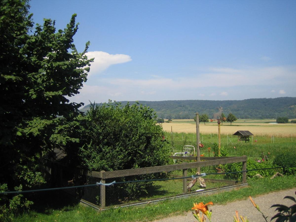 Apartment & Zimmer Familie Trescher Tübingen Екстериор снимка