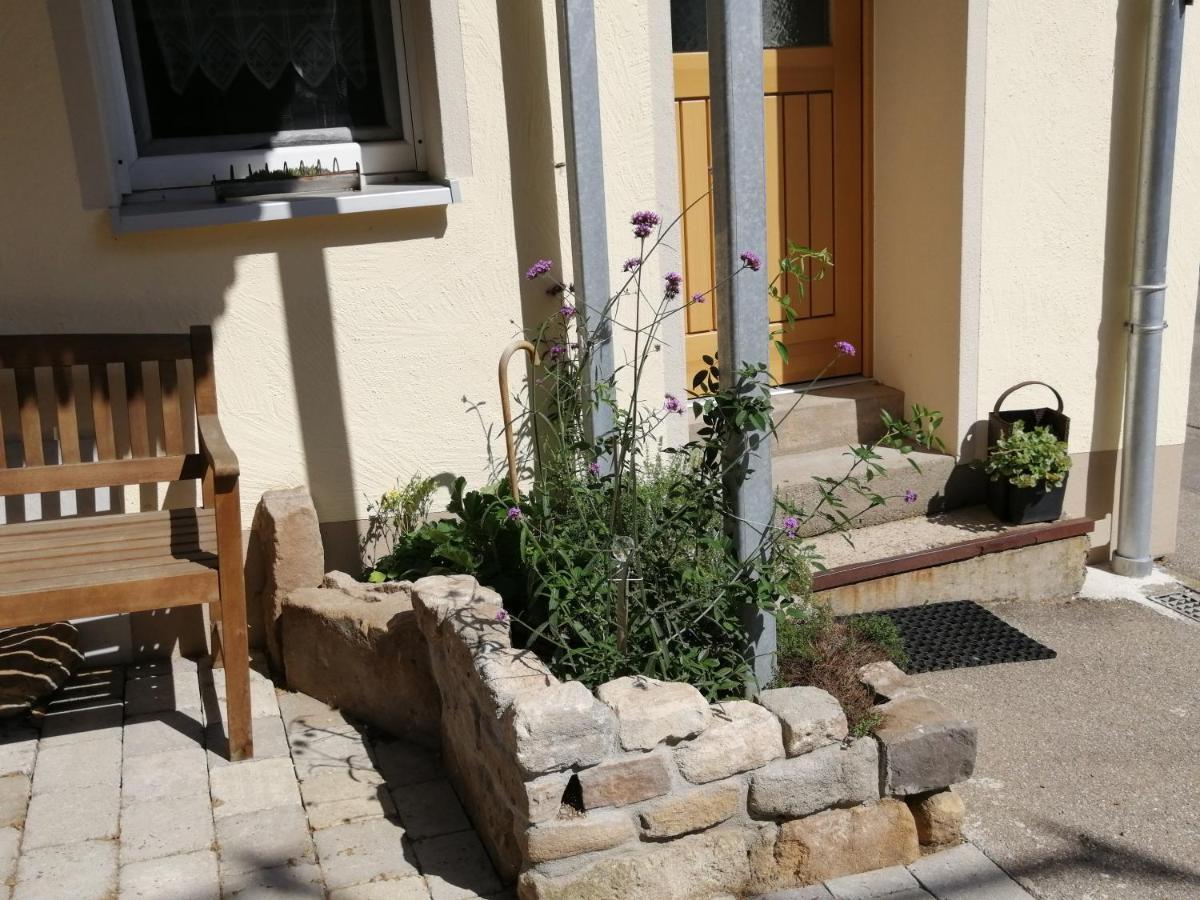 Apartment & Zimmer Familie Trescher Tübingen Екстериор снимка